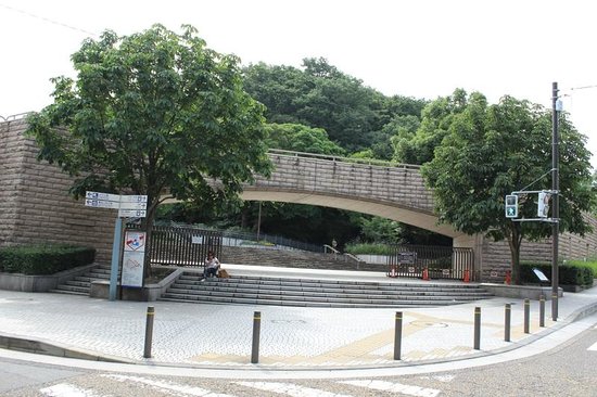 港の見える丘公園周辺エリア を愛犬と楽しむつつじろぐ