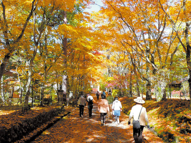 絶景File No.71 旧軽井沢から少し足を伸ばすと絶景が待っている「旧碓氷峠見晴台」に絶景ドライブ旅へ 長野県軽井沢町最高の絶景ドライブ旅ブログ