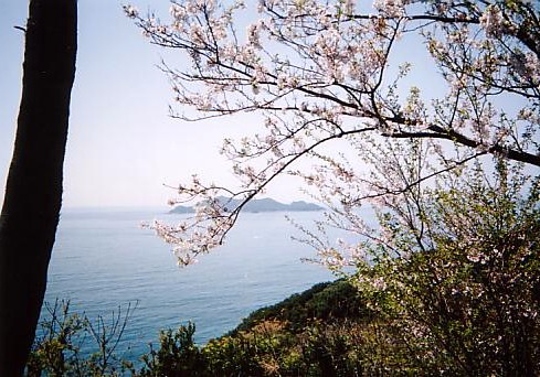 南阿波サンライン－バイクで巡る絶景道 日本百名道No.079