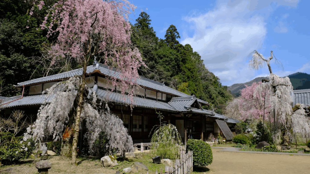 緑の世界を映し出す神秘の鏡池「龍王ヶ淵」おすすめの時期やアクセスを写真で詳しく紹介！ニシタビ