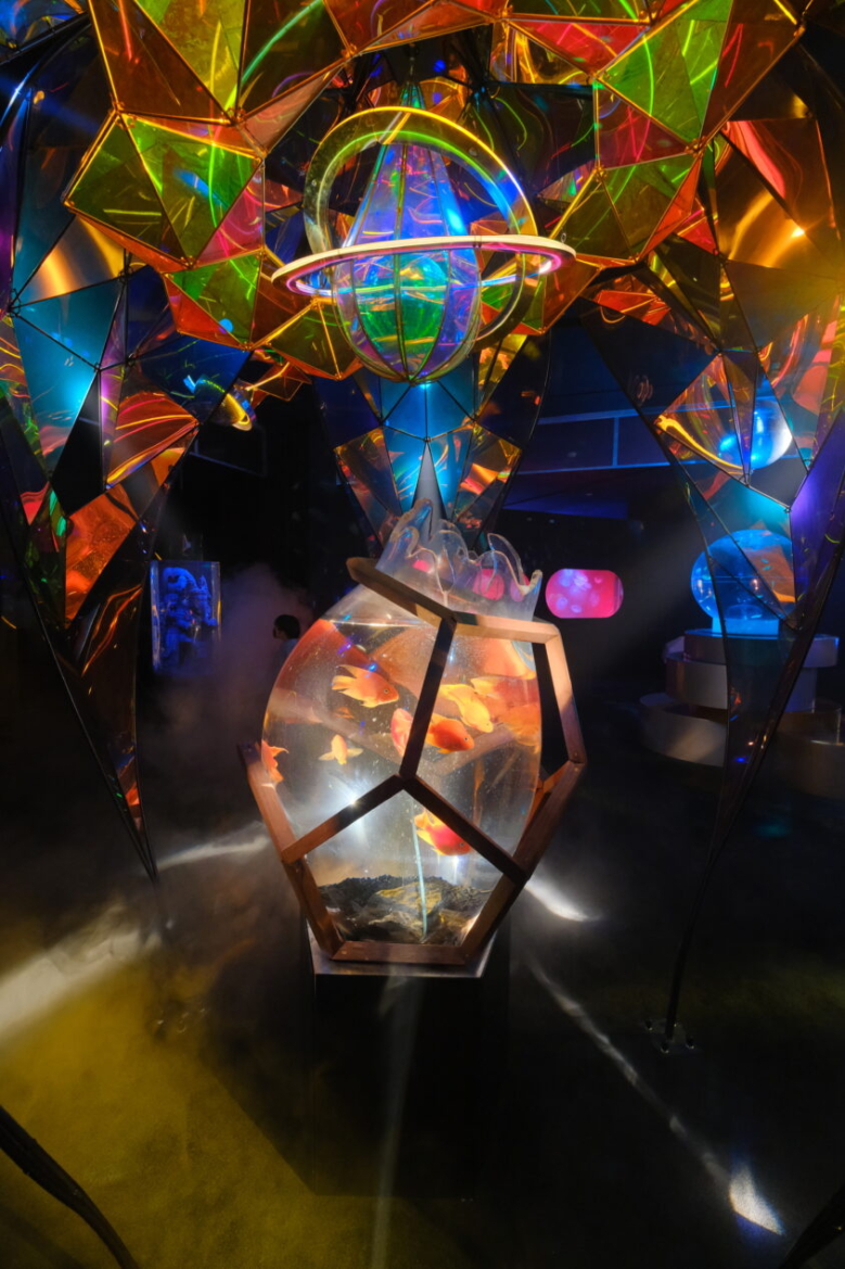 最新技術で宇宙旅行のような感覚を味わえる水族館 期間限定で横浜ワールドポーターズに登場 横浜市中区横浜・湘南で子供と遊ぶ - あそびい横浜・湘南