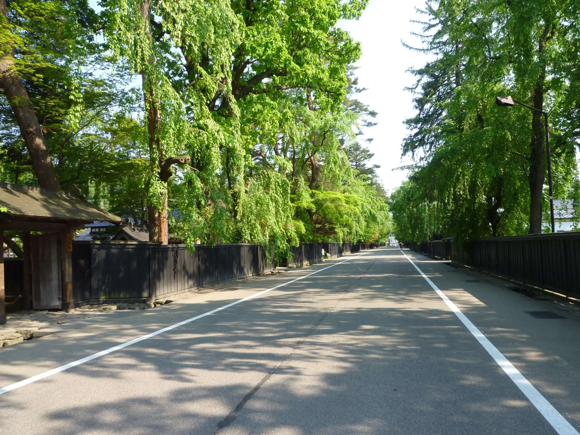 人力車「NPO法人桜風亭」モンベル