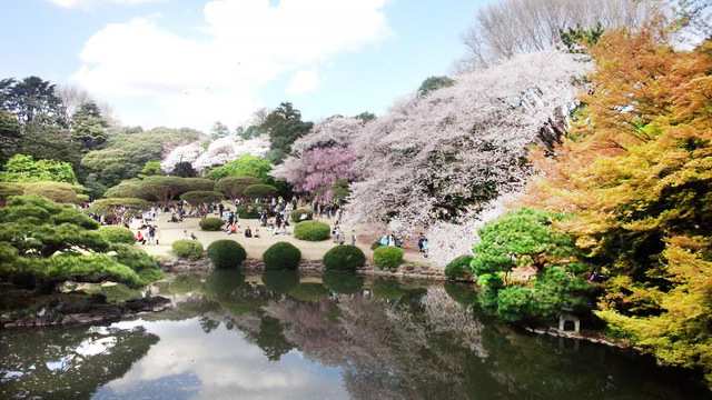 言の葉の庭の聖地巡礼スポット5選！2人が出会ったあの場所まで聖地巡礼あのアニメの、あの場所へ