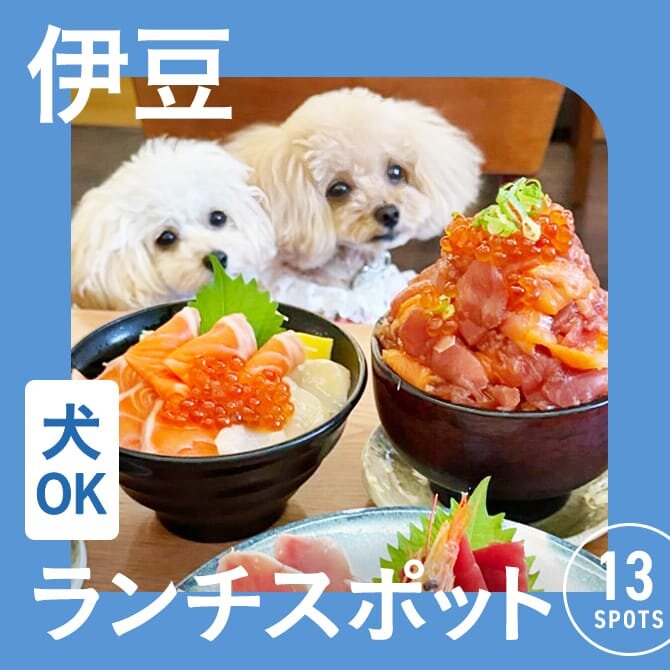 伊豆高原ビールうまいもん処 ペット同伴席 店内でゆっくりと可愛いペット達とお食事楽しめます！ワンちゃんにも鮪を無添加調理したオヤツ御用意しております！伊豆高原ビールうまいもん処伊豆高原ビール 伊豆旅行伊豆グルメ