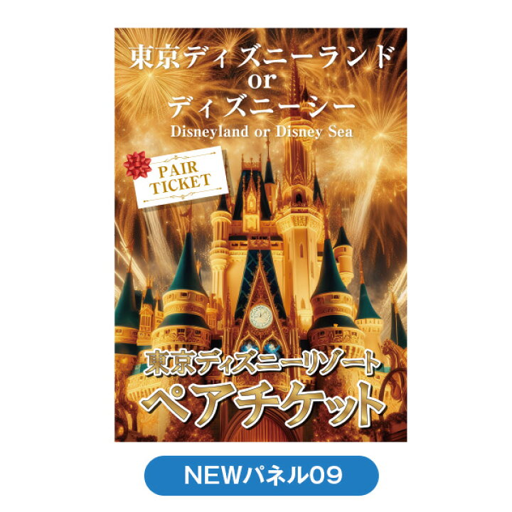 解説 ディズニーチケットの「中人」とは？値段や18歳の高校生はどうなる