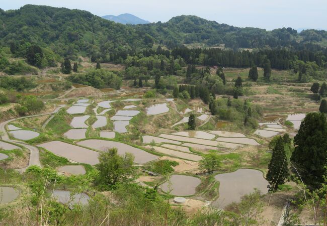 最新 星峠の棚田 -