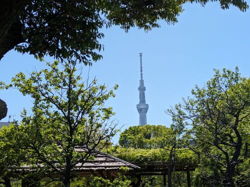 浅草と東京スカイツリーをつなぐ新名所！「すみだリバーウォーク」は恋人の聖地？ - いろはめぐり
