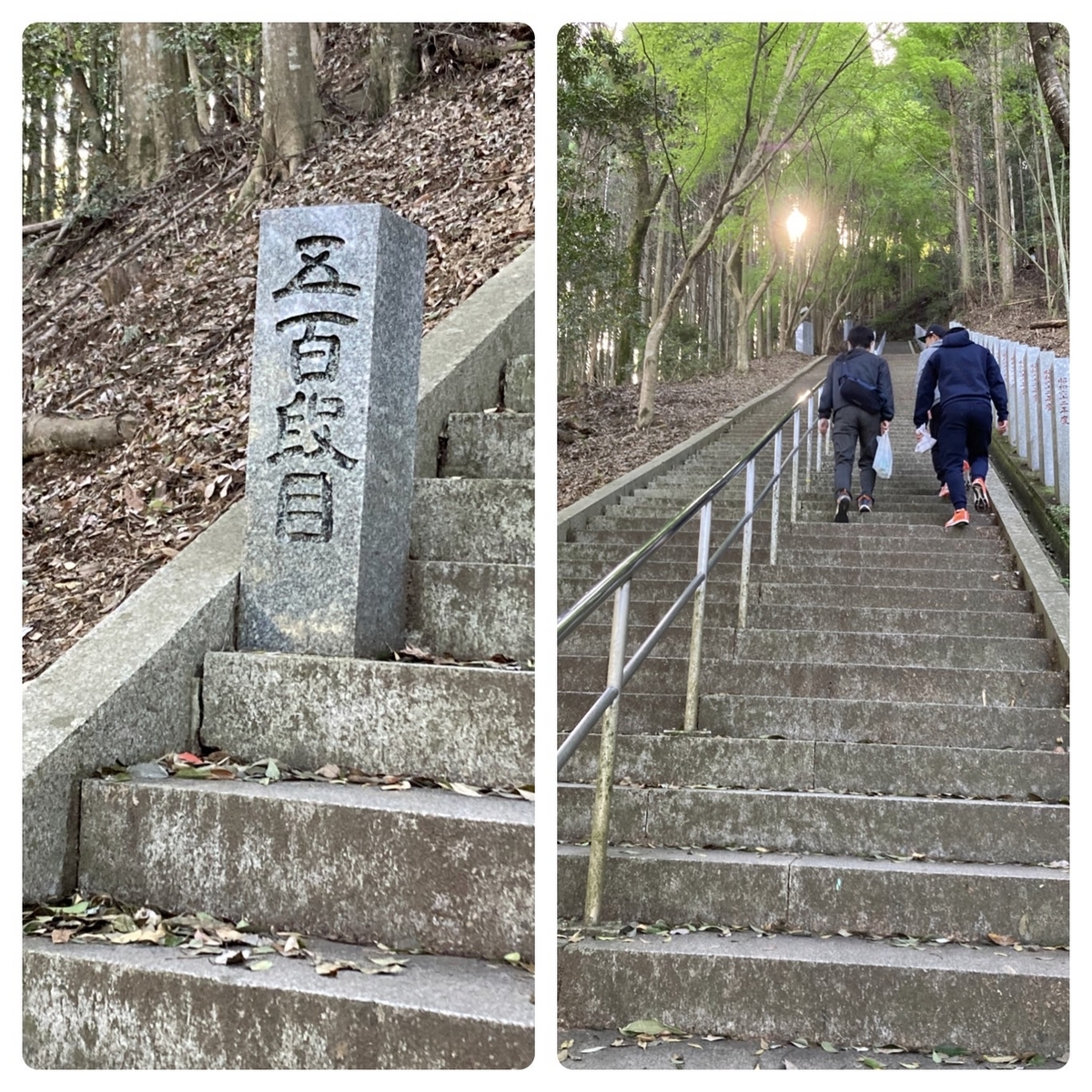 熊本・美里の「日本一の石段」 息切らして上る3333段 - 日本経済新聞