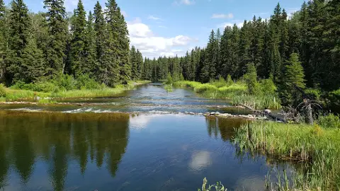 Safewayプリンス アルバートの口コミ13件 - トリップアドバイザ