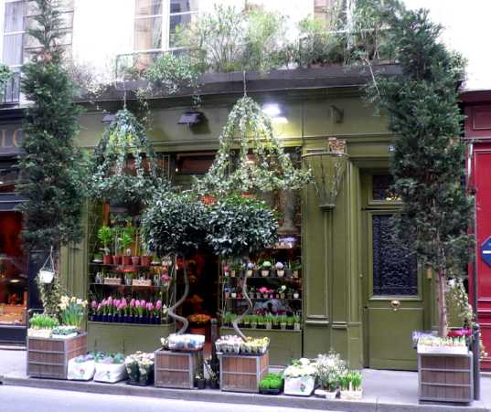 せかほし」のお花屋さんを訪ねて～イギリス・ロンドン～ - 世界の花屋