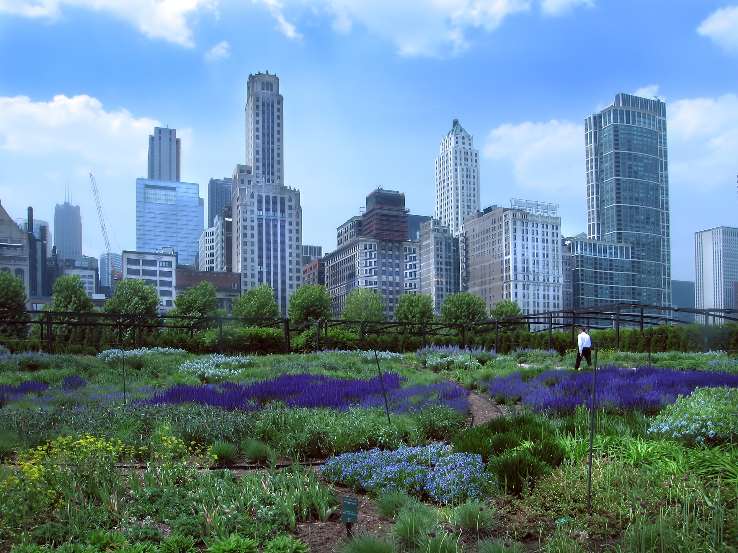 フェアモント シカゴ ミレニアム パーク シカゴ