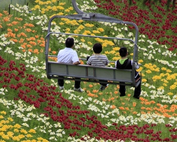 国内最大級！400万輪のユリの花が咲き誇るハンターマウンテンへドライブ 栃木県那須塩原市クルマ情報サイトｰGAZOO.com