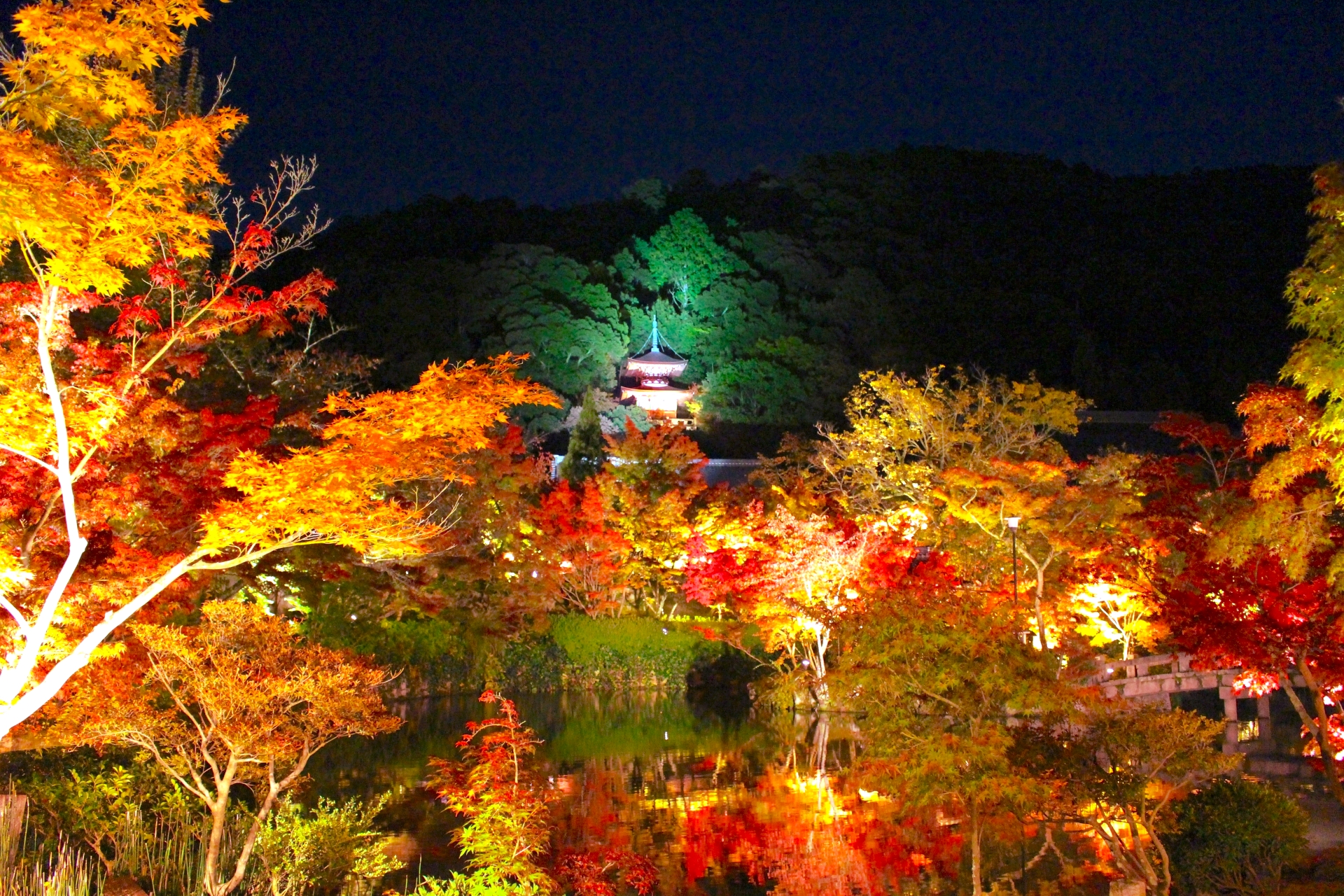 2025年の秋は永観堂「禅林寺」の紅葉を見に行きませんか？禅林寺の魅力をお伝えします。caedeKyoto カエデ京都紅葉と伝統美を引き継ぐバッグ
