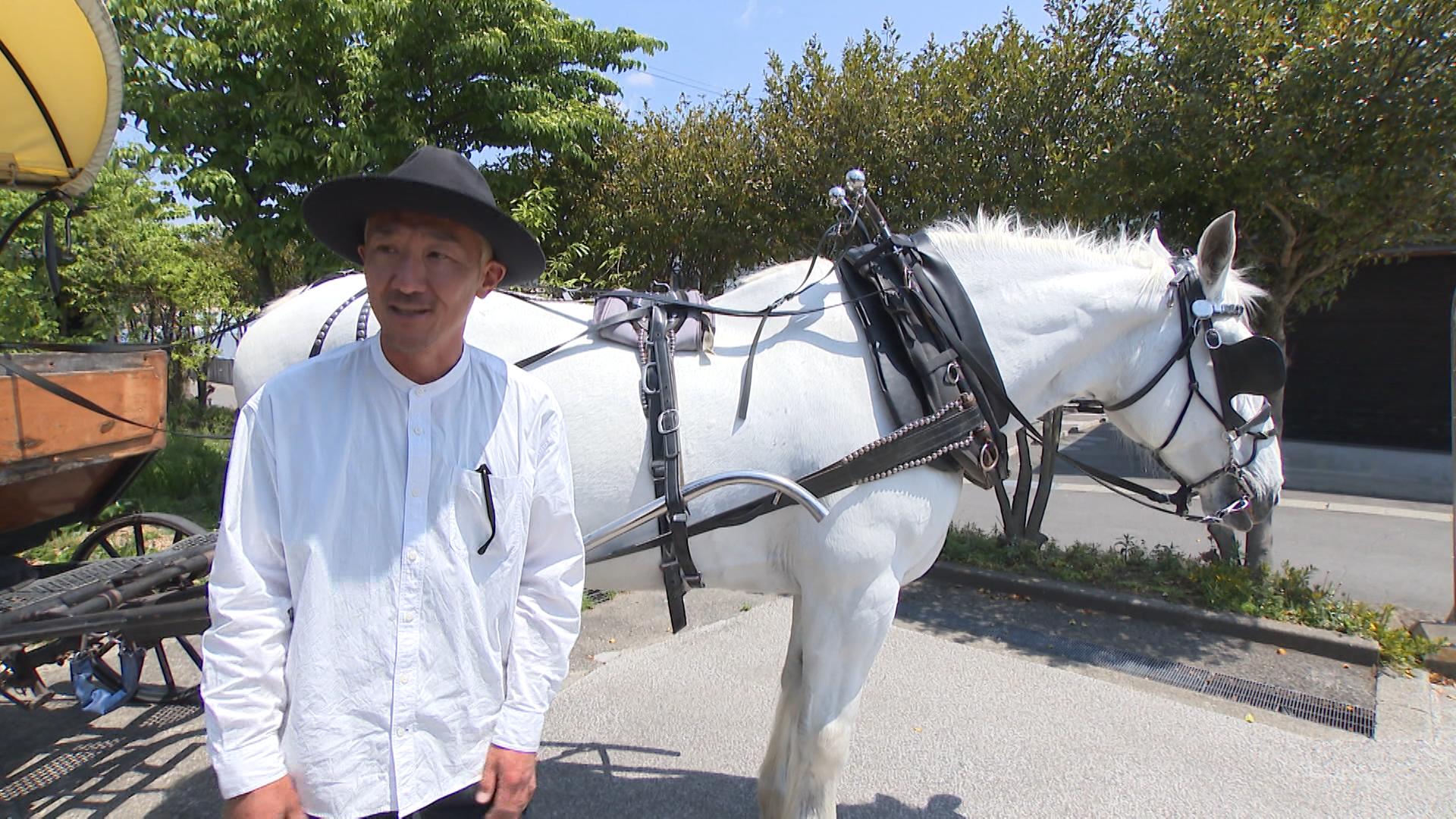 由布院観光 観光辻馬車湯布院の観光スポットAVA Travel