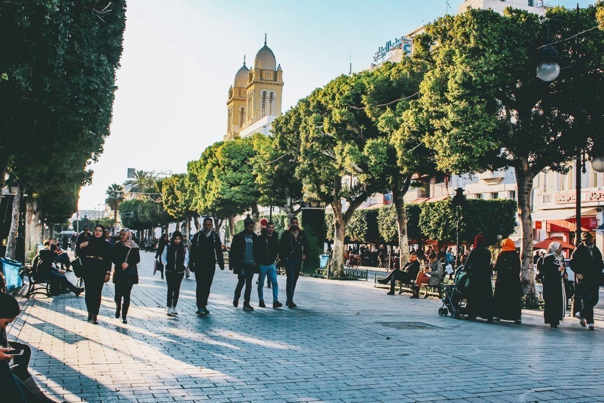 無職一人旅 チュニジア編① いわの