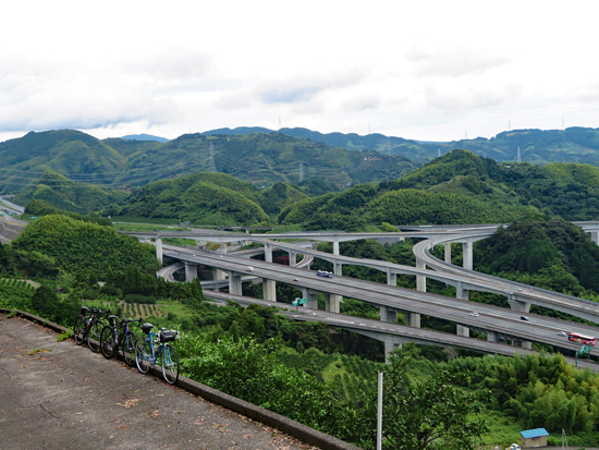みかん畑のドン・キホーテTNCテレビ西日本