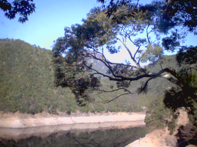 ライブカメラで見る全国の河川の様子