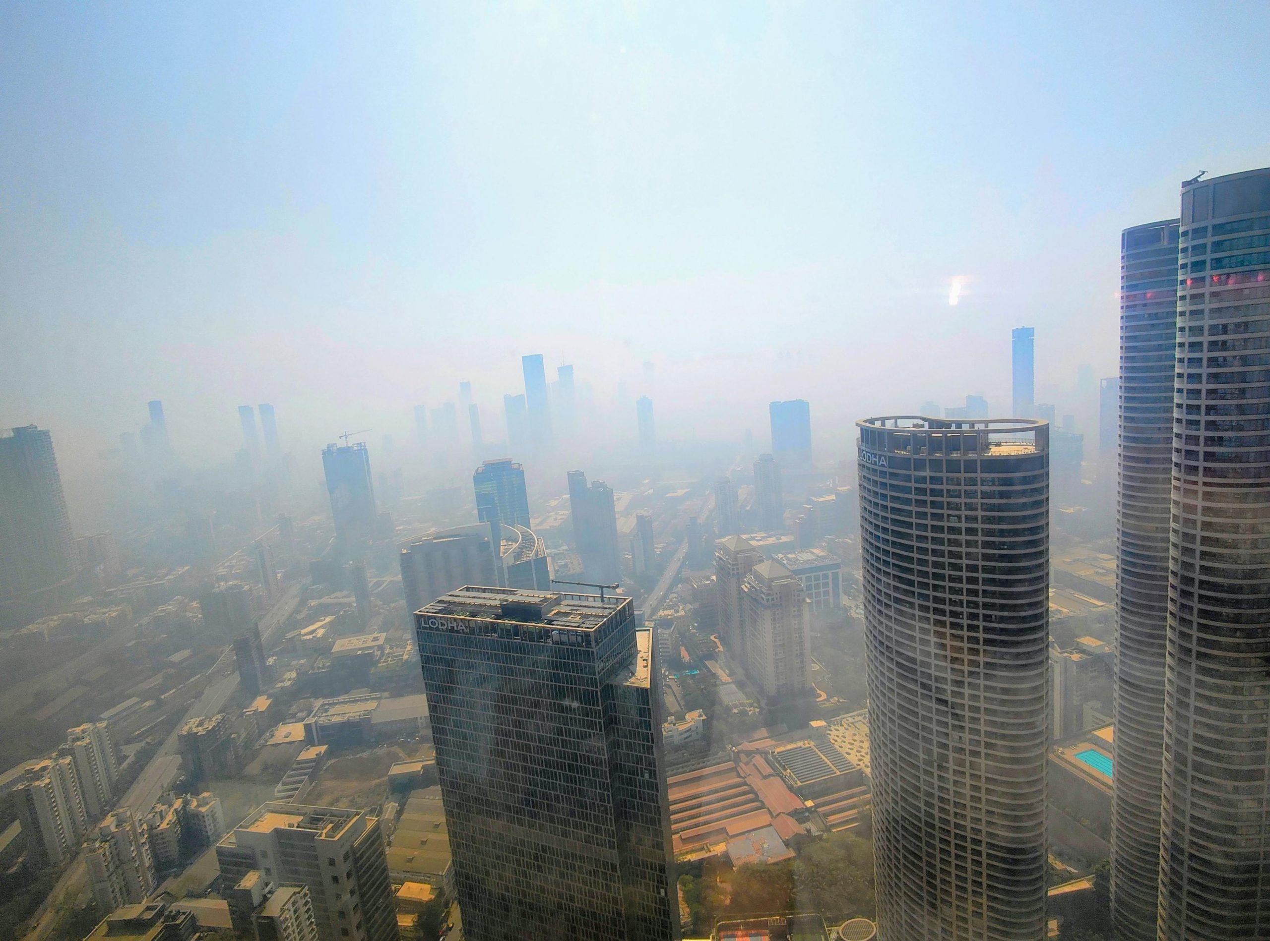 みんな知らない