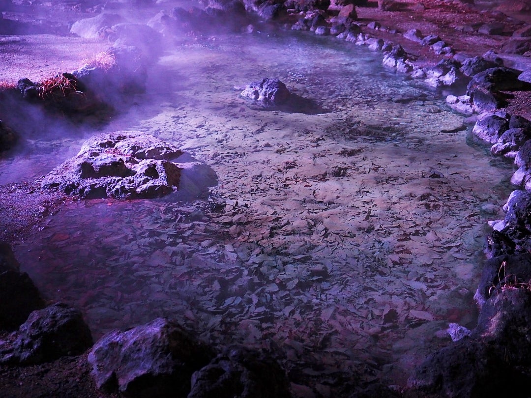 西の河原公園草津- ツアーとアクティビティエクスペディア