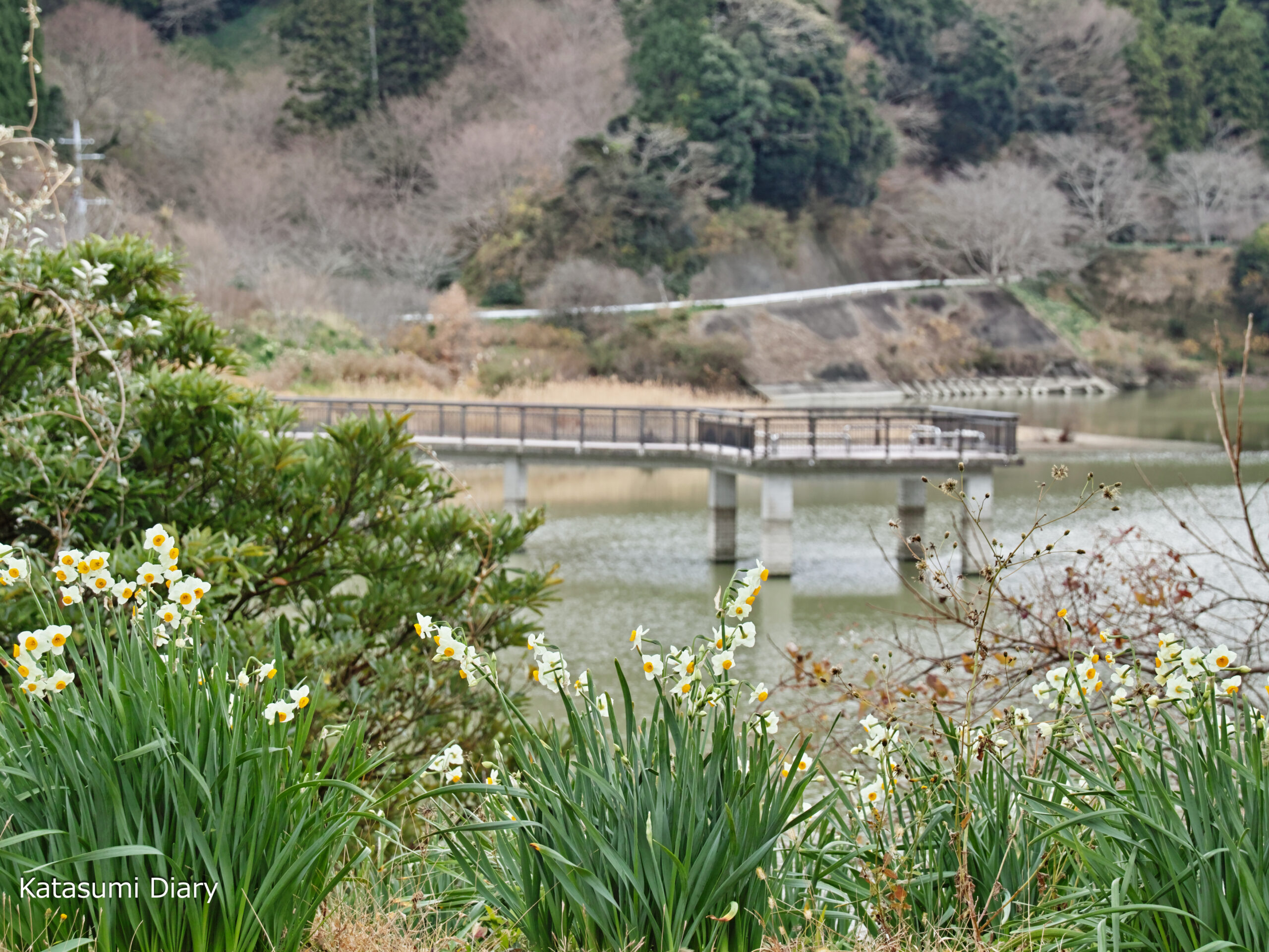 佐久間ダム湖親水公園」 安房郡鋸南町-公園 緑地-〒299-2111