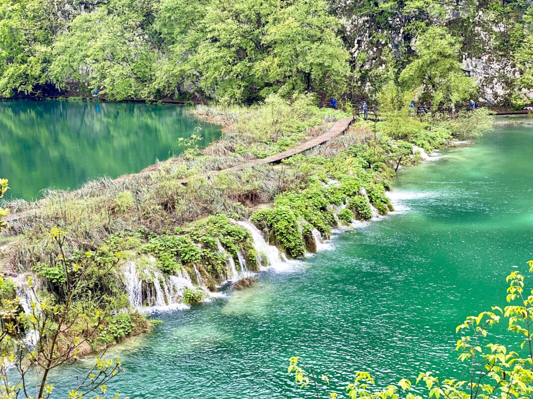 プリトヴィツェ湖群国立公園は透明感のある湖群が魅力！歴史や見どころなどを解説NEWT ニュート