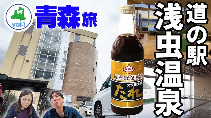 浅虫温泉駅から青森駅へ青い森鉄道70１系の旅ヒロイズムのブログ