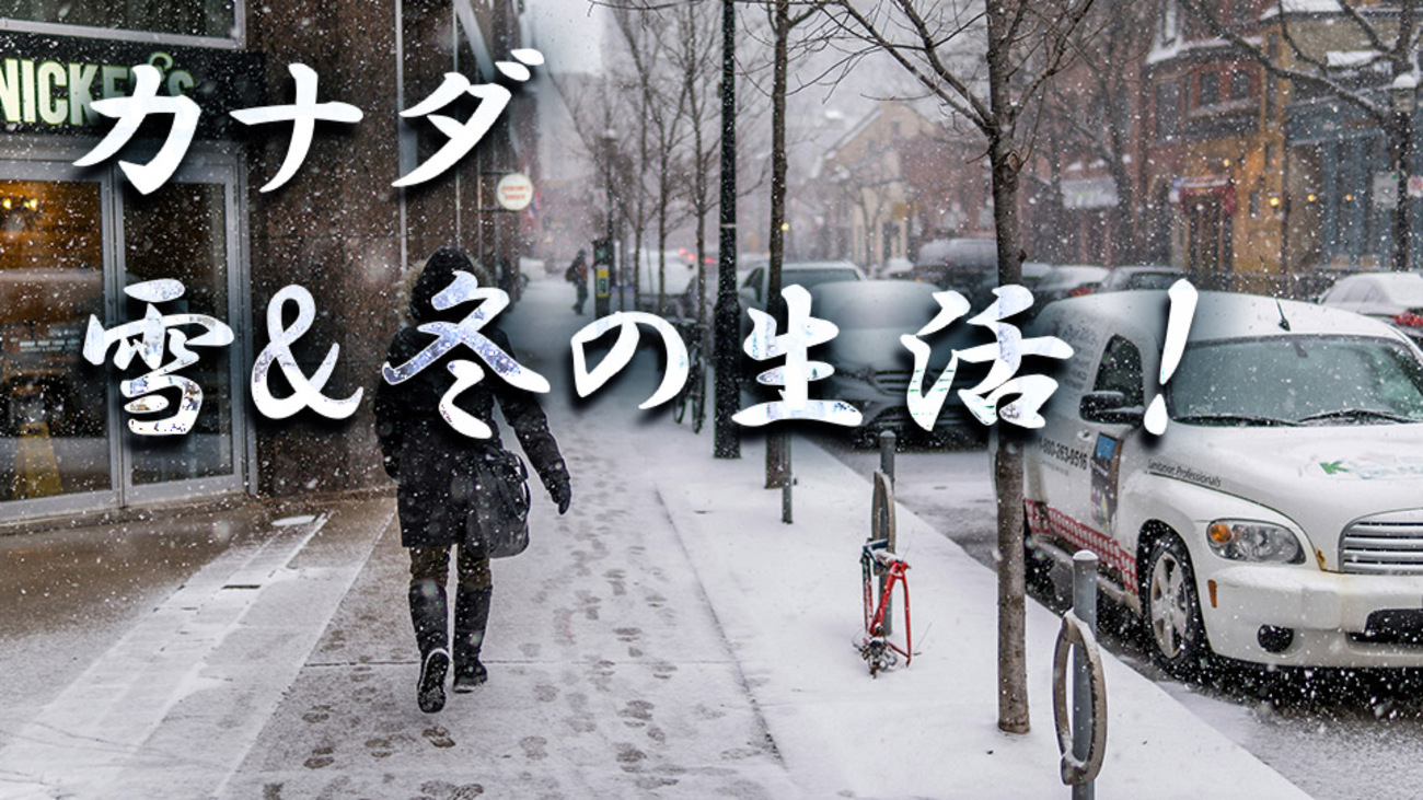 カナダの「雪」とは？どのくらい降る・積もる？奈良まちジオグラフィック