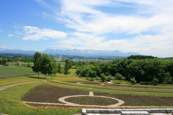ケンとメリーの木北海道Style