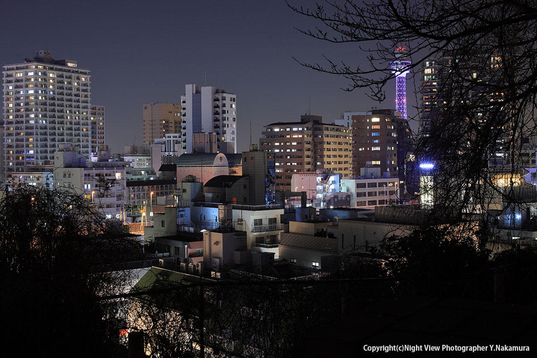 元町百段公園の夜景情報