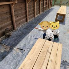 MOUNTQ アクセス・営業時間・料金情報 - じゃらんnet