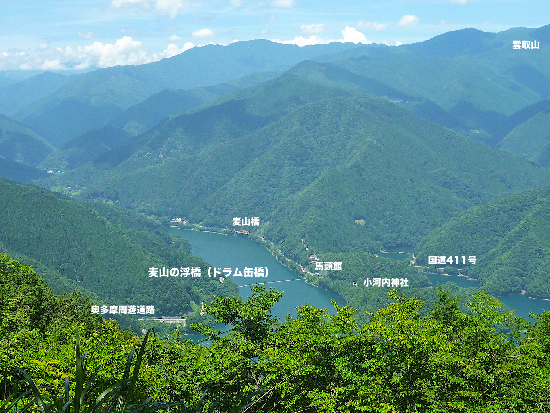 奥多摩湖を訪れる：麦山浮橋の魅力