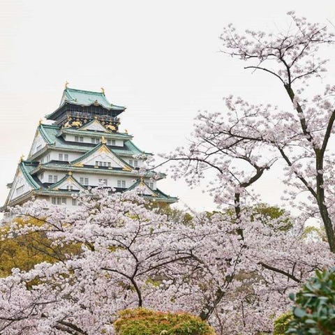 北新地観光スポット・体験OSAKA-INFO