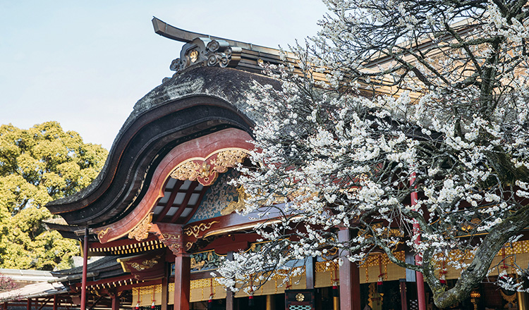 太宰府写真館 太宰府参道にあるカメラメーカーも欲しがるカメラがある写真館太宰府魅力発見塾