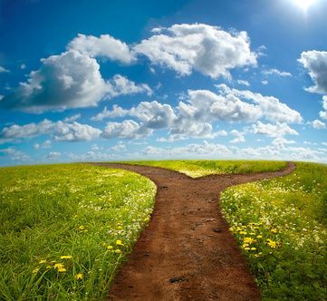 分かれ道」の写真素材11,521件の無料イラスト画像Adobe Stock