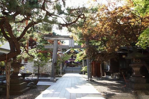 彌彦神社＞札幌市の街中で緑の香りを感じられる神社札幌のおすすめ観光・レジャースポットなら旅色