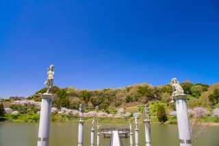 バス駐車場 ご予約受付 – 佐久間ダム湖親水公園千葉県鋸南町