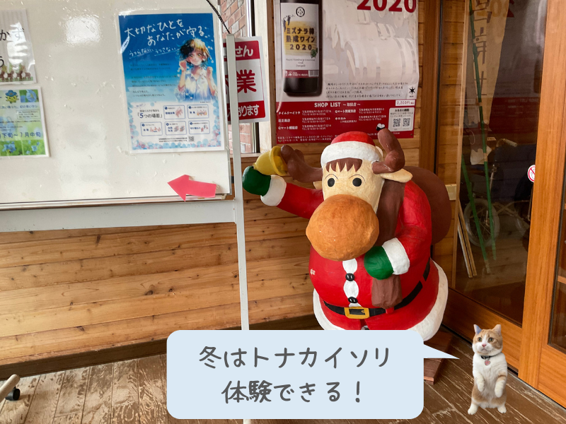 トロムソでトナカイぞり ２: ノルウェー北極圏の街へ