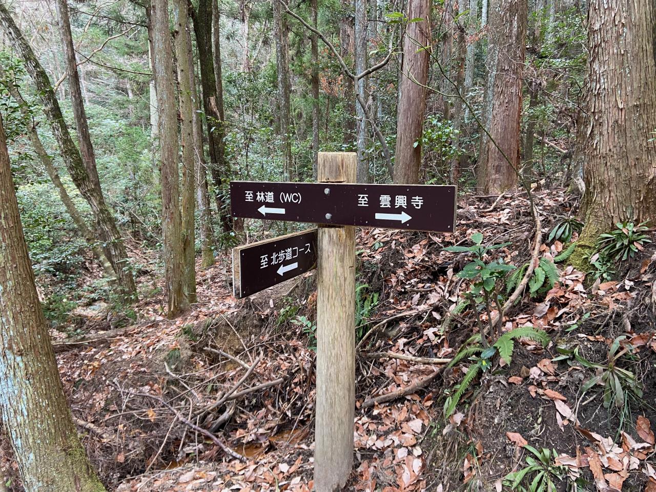 雲興寺～岩巣～白岩の里 - 老いぼれやまんば 山さんぽ♪２