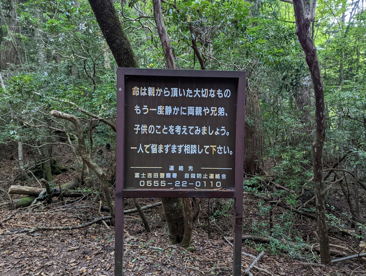 青木ヶ原樹海探検
