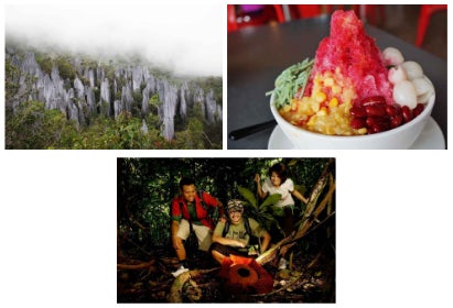 ボルネオ島ジャングル 世界遺産『グヌンムル国立公園』へ！ガイドツアーで熱帯雨林を満喫 ？たびなすび