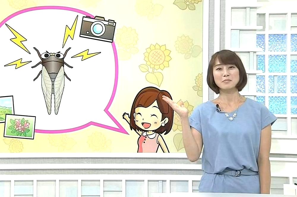 坂下悠乃ウェザーマップ