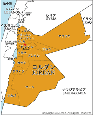 エジプトってどんな国？」2分で学ぶ国際社会読むだけで世界地図が頭に入る本ダイヤモンド・オンライン