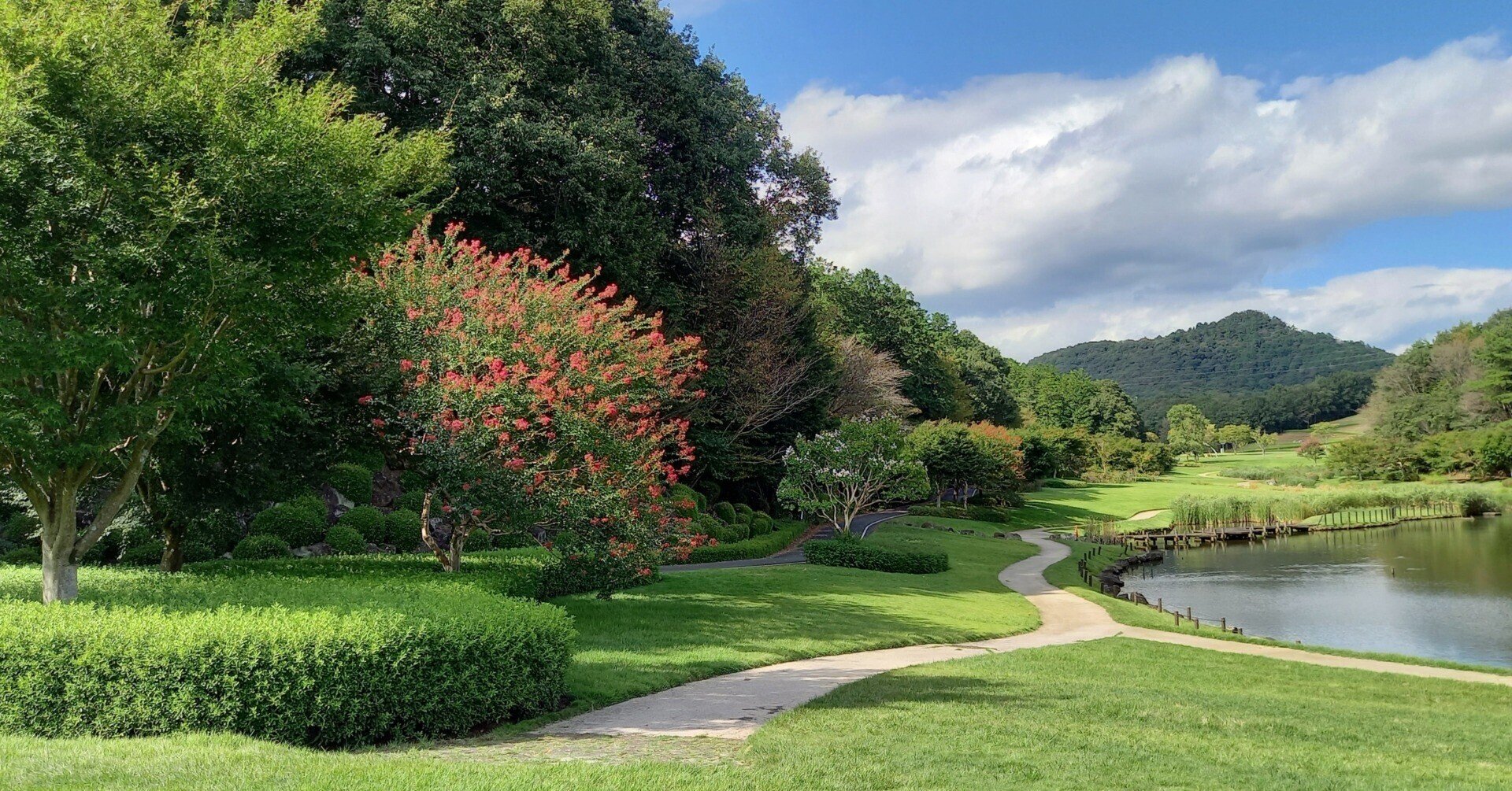 ボスニアのピラミッド : 花のリヴィエラ便り :::
