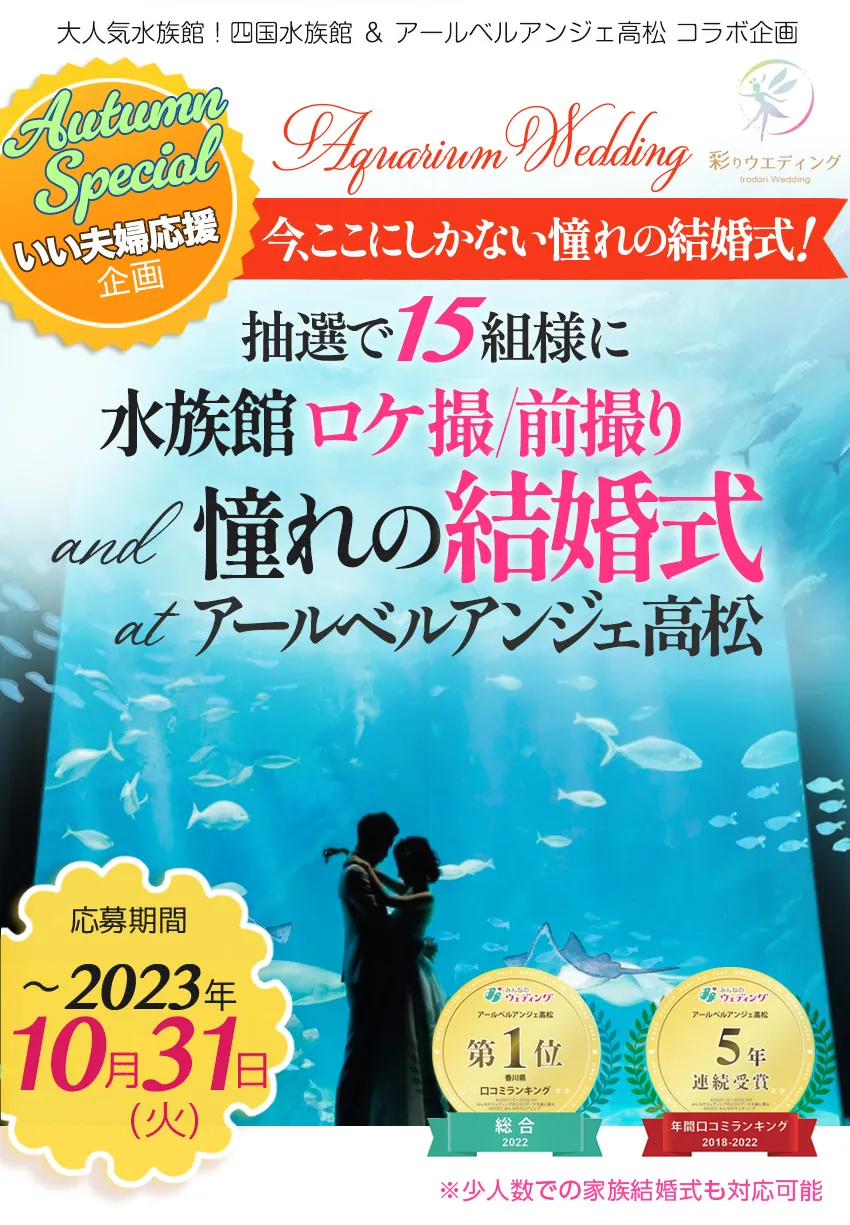 四国水族館「ドキドキ オトナの水族館」実績紹介YOMIURI BRAND STUDIO