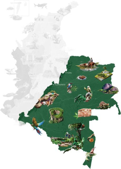 秘境ファン必見！“虹色の川”カニョ・クリスタレス 南米コロンビア奥地に神秘の川を訪ねて世界を深く知る旅