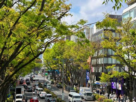 表参道・青山・原宿の写真素材写真素材なら「写真AC」無料 フリー ダウンロードOK