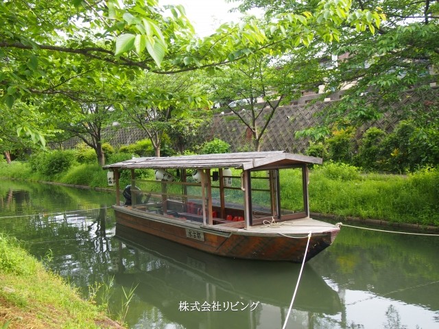 船上から見る優雅な桜観賞 京都のお花見クルーズ船 ６選-