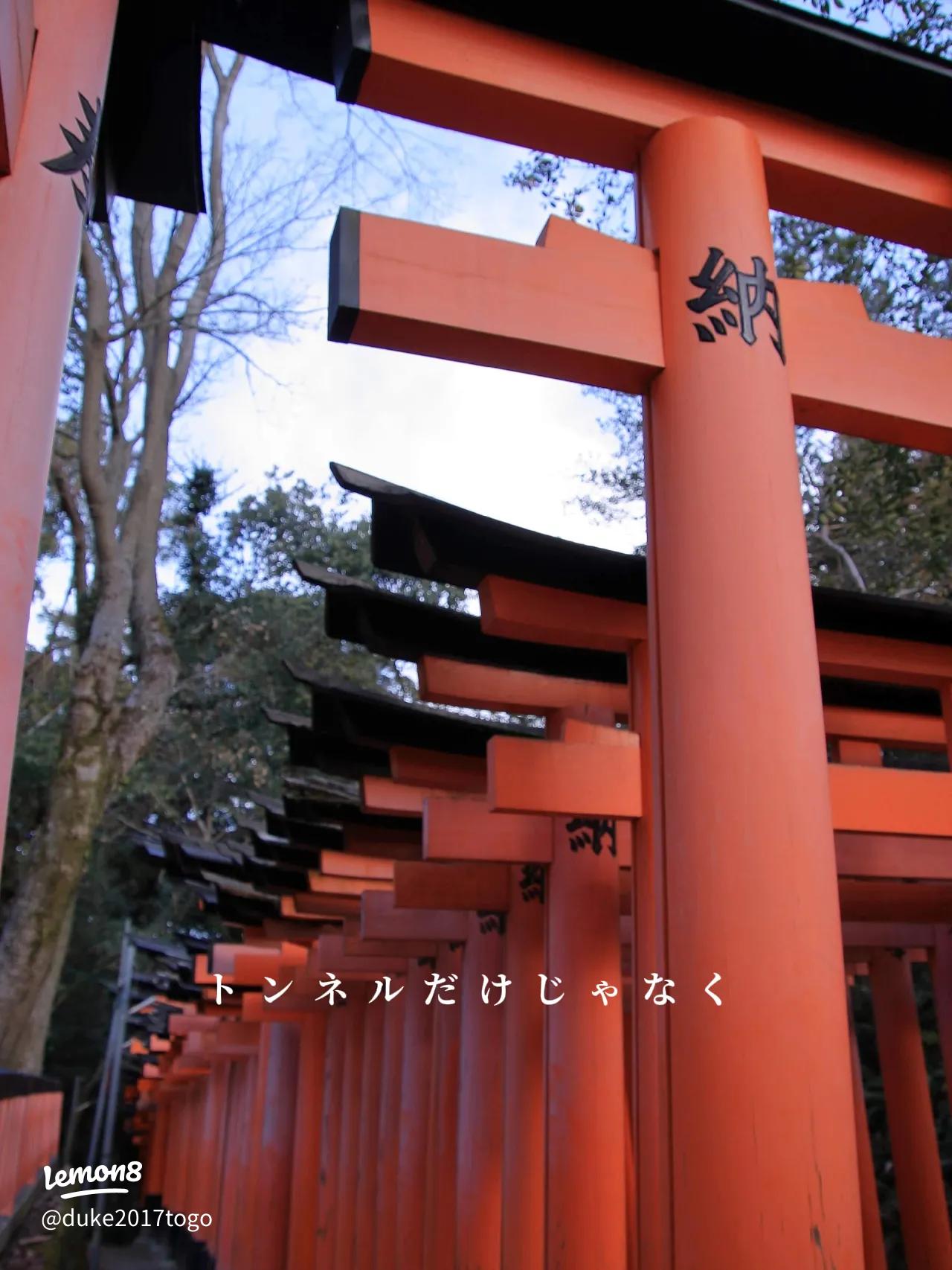 千本鳥居の写真撮影は外国人にも大人気！伏見稲荷の赤い鳥居を案内 - ぱんだららの旅と節約と通訳ガイドを目指すブログ