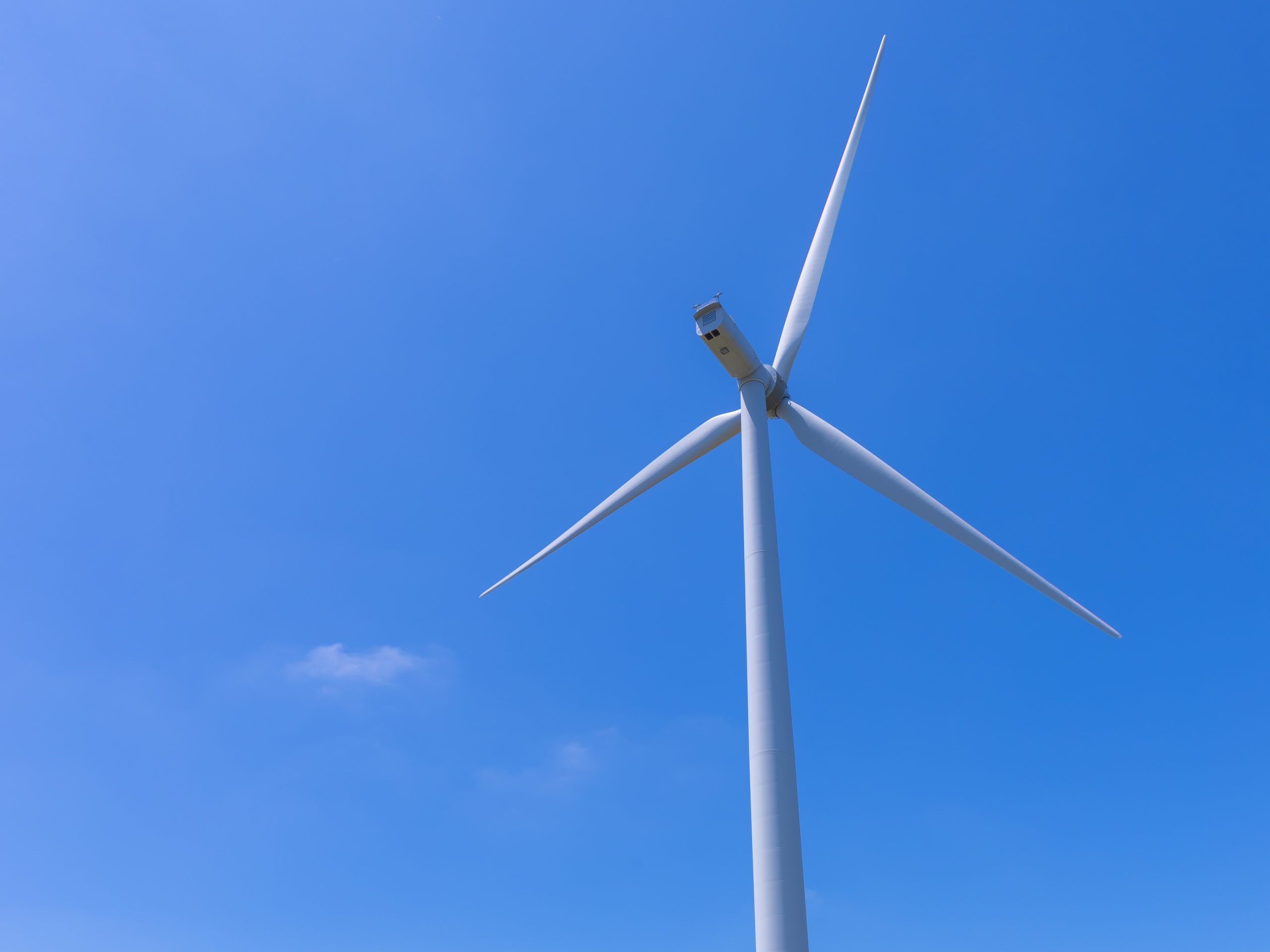 あわら夢ぐるま公園・夢ぐるまcafeふわりおすすめの観光スポット 公式 福井県