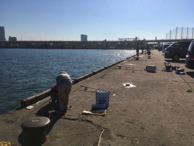 車を横付けできる３釣り場！泉大津リアル ^^♪フィッシングマックス 関西の釣果大阪・神戸・和歌山の釣果情報